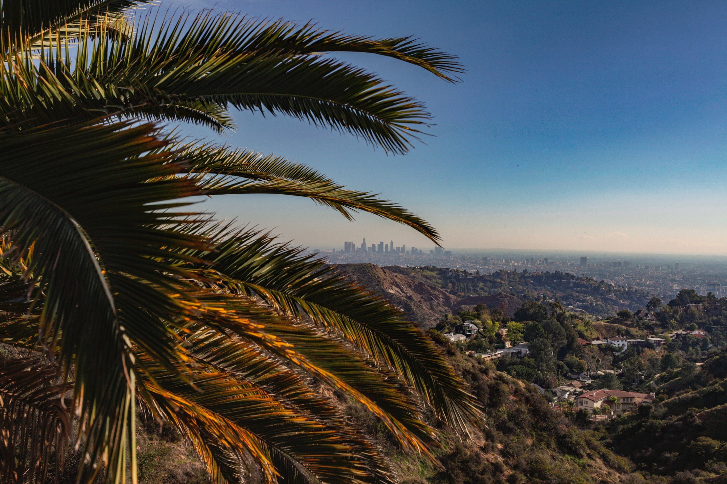 Los Angeles