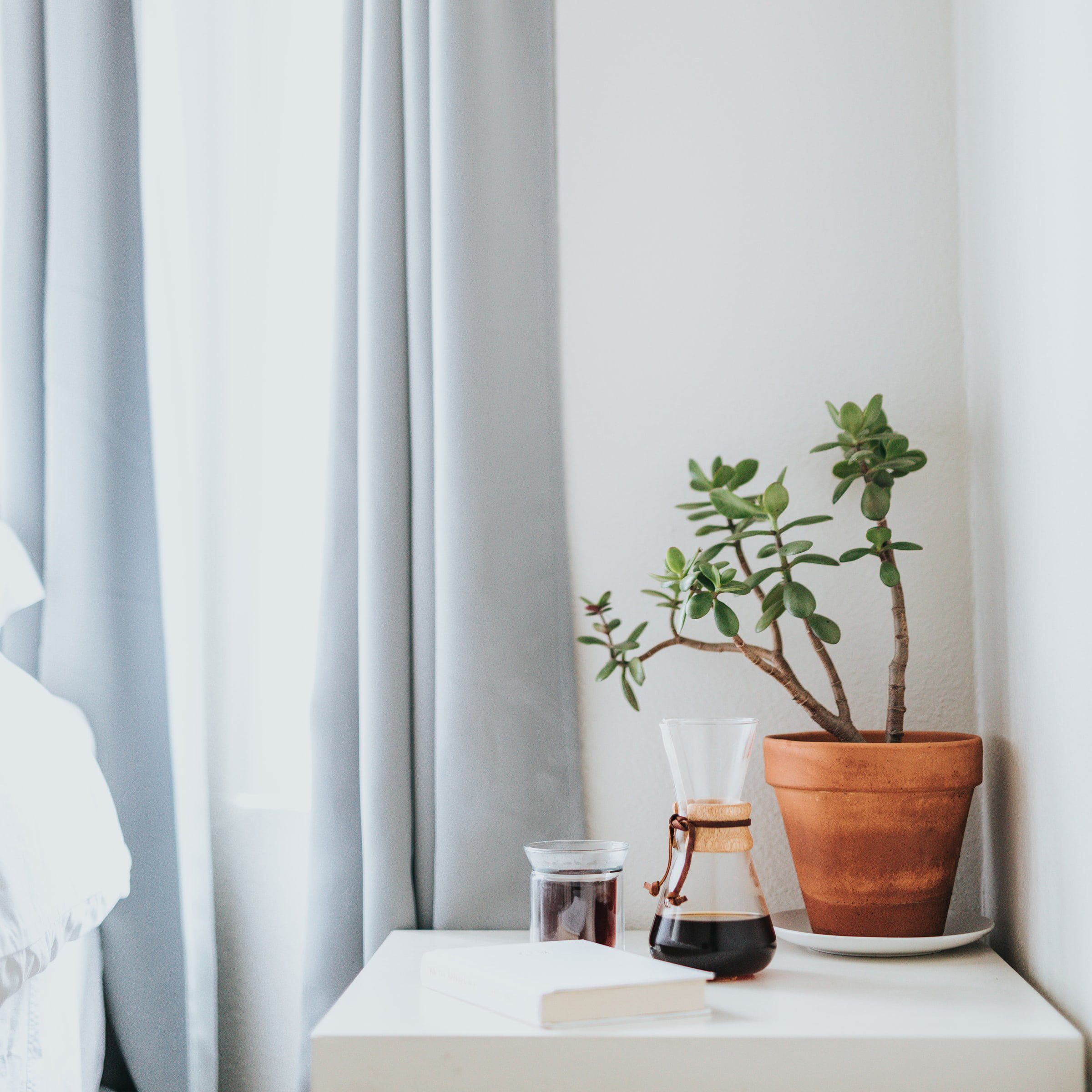 Window curtains
