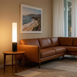 Tambo Cylindro, 29" Accent Table Lamp, Black Oak, Satin Nickel, Frosted Acrylic, Dimmer Switch